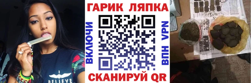 omg tor  Гулькевичи  Гашиш индика сатива 