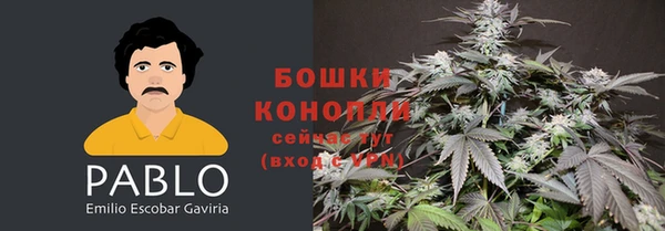 эйфоретик Новодвинск