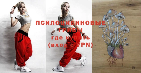 Альфа ПВП Арсеньев